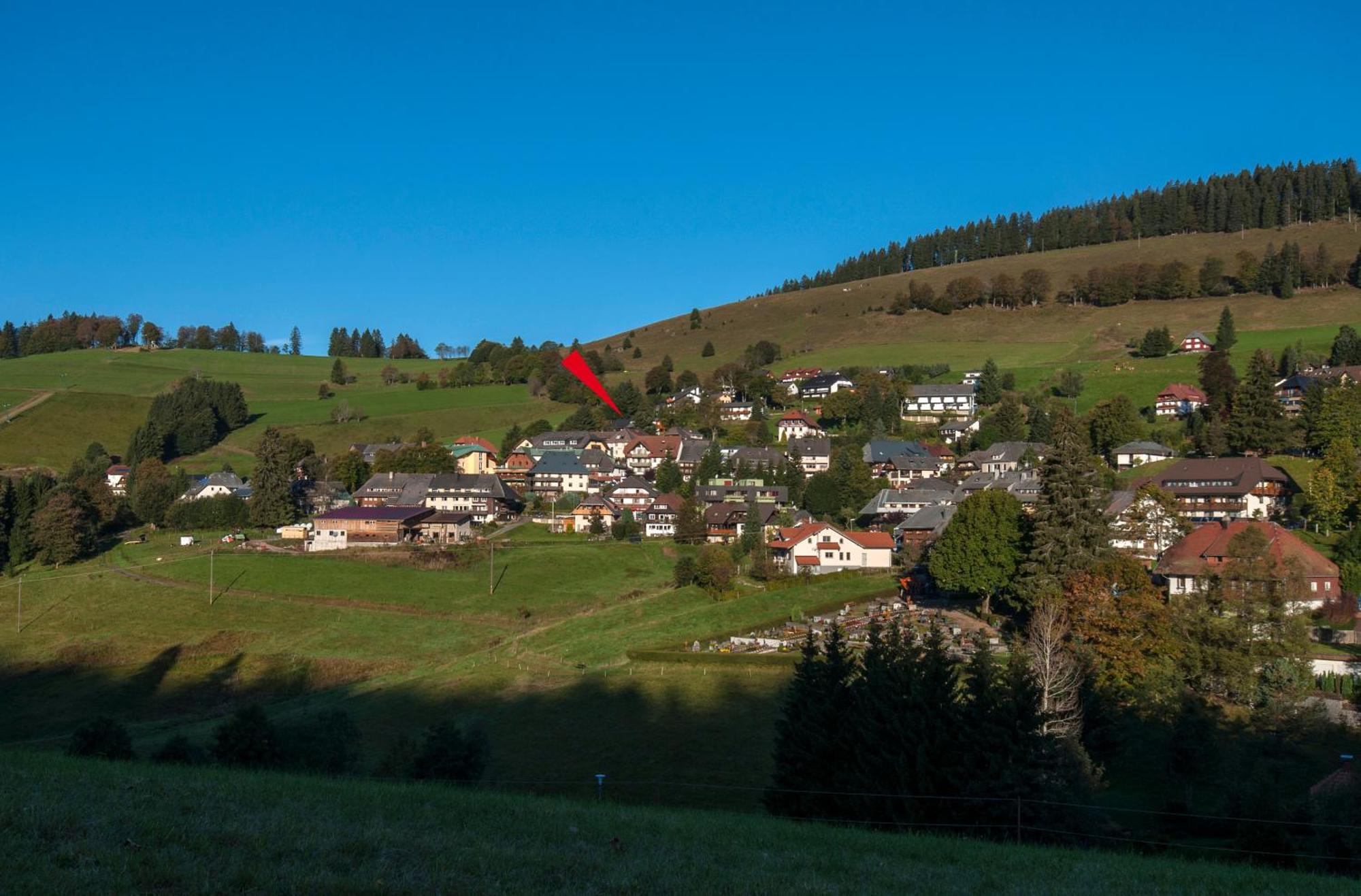 Apartment 13 - Ferienresidenz Roseneck, Mit Schwimmbad In Todtnauberg Bei Feldberg Exterior photo